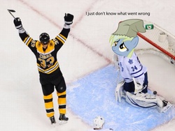 Size: 2048x1536 | Tagged: safe, edit, derpy hooves, pegasus, pony, g4, barely pony related, boston bruins, female, hockey, james reimer, mare, nhl, toronto maple leafs, zdeno chara