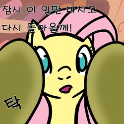 Size: 1280x1280 | Tagged: safe, fluttershy, g4, askfluttershy-kor, korean