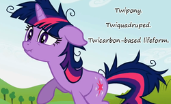 Size: 813x497 | Tagged: safe, edit, edited screencap, screencap, twilight sparkle, pony, g4, lesson zero, female, floppy ears, insane pony thread, messy mane, scrunchy face, solo, tumblr