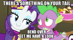 Size: 550x305 | Tagged: safe, edit, edited screencap, screencap, rarity, spike, dragon, pony, unicorn, dragon quest, g4, my little pony: friendship is magic, apron, bend over, blushing, caption, clothes, female, hub logo, image macro, male, mare, meme, rarity's bad pickup lines, ship:sparity, shipping, straight