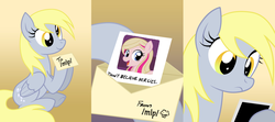 Size: 1795x797 | Tagged: safe, derpy hooves, oc, oc:meghan mccarthy, pegasus, pony, g4, /mlp/, 4chan, don't believe her lies, exploitable meme, female, lies, mare, meghan mccarthy, memento, sitting, underp