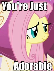 Size: 400x520 | Tagged: safe, edit, edited screencap, screencap, fluttershy, pegasus, pony, g4, green isn't your color, season 1, bust, cropped, cute, english, female, image macro, impact font, mare, pink hair, pink mane, reaction image, shyabetes, smiling, solo, teal eyes, text, yellow body, yellow coat, yellow fur, yellow pony