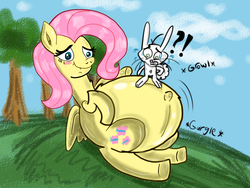 Size: 800x600 | Tagged: safe, angel bunny, fluttershy, g4, cravings, inflation, panic attack, preggoshy, pregnant, sweat