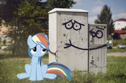 Size: 900x598 | Tagged: safe, rainbow dash, g4, irl, photo, ponies in real life, sad