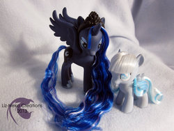 Size: 1024x768 | Tagged: safe, artist:liz-neko, princess luna, oc, oc:snowdrop, g4, brushable, customized toy, princess, toy