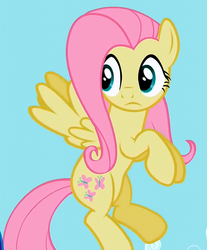 Size: 480x580 | Tagged: safe, screencap, fluttershy, g4, female, solo