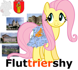 Size: 1114x1000 | Tagged: safe, fluttershy, g4, fluttriershy, germany, pun, trier