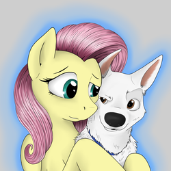 Size: 2048x2048 | Tagged: safe, artist:yakovlev-vad, fluttershy, dog, pegasus, pony, g4, bolt, crossover, cute, duo, hug