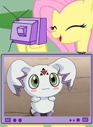 Size: 438x600 | Tagged: safe, fluttershy, calumon, g4, digimon, digimon tamers, exploitable meme, tv meme