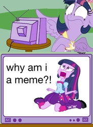 Size: 563x771 | Tagged: safe, twilight sparkle, human, pony, equestria girls, g4, my little pony equestria girls, crossing the memes, existential crisis, exploitable meme, helvetica, human ponidox, memeception, self ponidox, tv meme, twilight sparkle (alicorn), twiscream