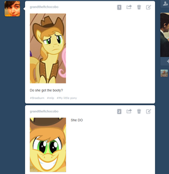 Size: 702x723 | Tagged: safe, edit, edited screencap, screencap, braeburn, earth pony, pony, g4, male, tumblr