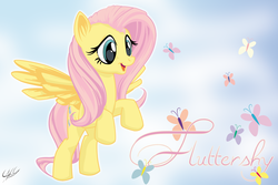 Size: 2500x1667 | Tagged: safe, artist:jahirceja-90, artist:mysticalpha, artist:ponychaos13, fluttershy, butterfly, g4, female, solo, wallpaper