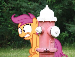 Size: 1584x1204 | Tagged: safe, artist:kuren247, scootaloo, g4, desperation, fire hydrant, implied pissing, irl, lip bite, photo, ponies in real life, potty time, toilet humor, wide eyes