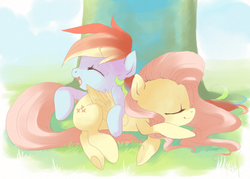 Size: 840x600 | Tagged: dead source, safe, artist:loyaldis, fluttershy, rainbow dash, pegasus, pony, g4, duo, female, sleeping, tree