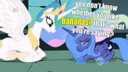 Size: 1920x1080 | Tagged: safe, edit, edited screencap, screencap, princess celestia, princess luna, alicorn, pony, friendship is magic, g4, bitchlestia, castle of the royal pony sisters, do you like bananas?, eyes closed, female, friendship is magic bitch, impact font, mare, royal sisters, s1 luna, this will end in tears and/or a journey to the moon, trollestia