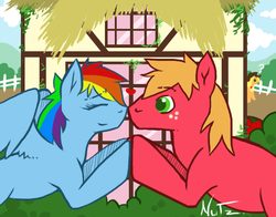 Size: 700x550 | Tagged: safe, artist:coffeenutter, big macintosh, rainbow dash, earth pony, pony, g4, heart, male, nuzzling, ship:rainbowmac, shipping, stallion, straight