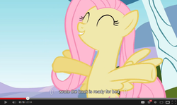 Size: 854x510 | Tagged: safe, screencap, fluttershy, g4, may the best pet win, my little pony: friendship is magic, female, solo, youtube caption