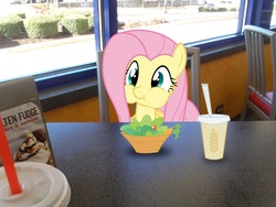 Size: 2048x1536 | Tagged: safe, artist:tokkazutara1164, fluttershy, g4, burger king, eating, female, food, lunch, ponies in real life, restaurant, solo, vector