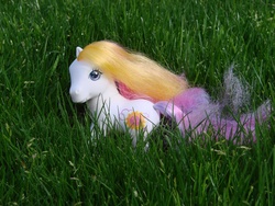 Size: 3072x2304 | Tagged: safe, sunny daze (g3), earth pony, pony, g3, female, irl, mare, outdoors, photo, solo, tail, toy