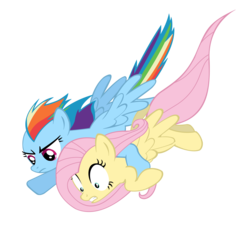 Size: 2875x2592 | Tagged: safe, artist:masterrottweiler, fluttershy, rainbow dash, g4, simple background, transparent background, vector