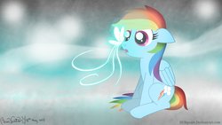 Size: 1191x670 | Tagged: safe, artist:bvsquare, rainbow dash, butterfly, g4, female, solo