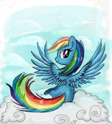 Size: 4728x5265 | Tagged: safe, artist:pridark, rainbow dash, g4, absurd resolution, cloud, cloudy, female, rear view, solo, spread wings, wings