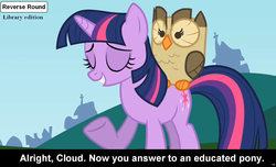 Size: 1600x973 | Tagged: safe, edit, edited screencap, screencap, owlowiscious, twilight sparkle, bird, owl, comic:celestia's servant interview, g4, may the best pet win, my little pony: friendship is magic, caption, interview, meta