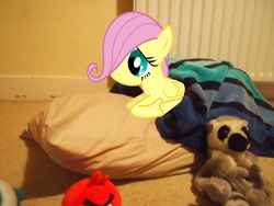 Size: 4032x3024 | Tagged: safe, artist:jetrixwolf, fluttershy, g4, angry birds, blanket, cute, doll, female, filly, filly fluttershy, pillow, ponies in real life, red bird, vector, younger