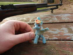 Size: 1600x1200 | Tagged: safe, rainbow dash, g4, gun, rifle, sks, toy abuse