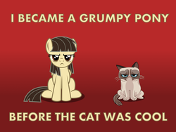Size: 1600x1200 | Tagged: safe, artist:thunderhawk03, wild fire, cat, pegasus, pony, g4, before it was cool, crossover, female, frown, glare, grumpy, grumpy cat, looking at you, mare, sibsy, sitting, tard the grumpy cat, wild fire is not amused