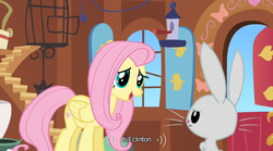 Size: 640x355 | Tagged: safe, screencap, angel bunny, fluttershy, g4, bill clinton, youtube caption