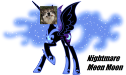 Size: 680x409 | Tagged: safe, edit, nightmare moon, wolf, g4, bad edit, moon moon, nightmare moon moon, wat