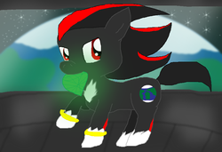 Size: 826x566 | Tagged: safe, artist:cocoasnowflakes, pony, male, mouth hold, ponified, shadow the hedgehog, solo, sonic the hedgehog (series)