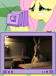 Size: 563x771 | Tagged: safe, fluttershy, rabbit, g4, exploitable meme, fluttercry, short, tv meme