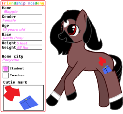 Size: 837x775 | Tagged: safe, artist:sheamus-mlp, oc, oc only, oc:maggie, earth pony, pony, reference sheet, solo