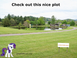 Size: 1240x930 | Tagged: safe, rarity, g4, best plot, butt, land, plot, ponies in real life, pun, sign, word play