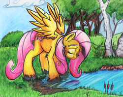 Size: 776x610 | Tagged: safe, artist:pippy, fluttershy, g4, female, solo, traditional art