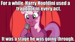 Size: 960x540 | Tagged: safe, cheerilee, earth pony, pony, g4, cheerilee pun, exploitable meme, harry houdini, meme, pun