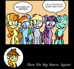 Size: 803x742 | Tagged: safe, artist:toonbat, braeburn, carrot top, derpy hooves, golden harvest, lyra heartstrings, rainbow dash, twilight sparkle, earth pony, pegasus, pony, unicorn, g4, female, male, mare, speech bubble, stallion