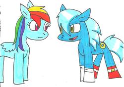 Size: 976x688 | Tagged: safe, artist:cmara, rainbow dash, g4, crossover, crossover shipping, female, interspecies, male, ponified, shipping, sonic the hedgehog, sonic the hedgehog (series), sonicdash, straight, traditional art