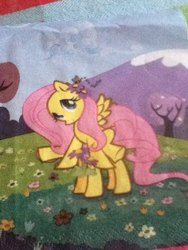 Size: 480x640 | Tagged: safe, fluttershy, g4, official, error, female, napkin, solo, wat