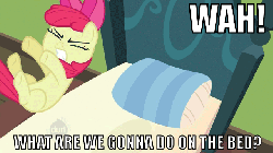 Size: 640x360 | Tagged: safe, edit, edited screencap, screencap, apple bloom, earth pony, pony, g4, animated, bed, female, filly, foal, image macro, mirrored, on bed, pomf, what are we gonna do on the bed?