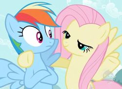 Size: 624x458 | Tagged: safe, screencap, fluttershy, rainbow dash, pony, g4, may the best pet win, hub logo, hubble, logo, out of context, the hub