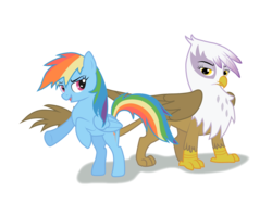 Size: 1200x900 | Tagged: safe, artist:ethaes, gilda, rainbow dash, griffon, g4, simple background, transparent background, vector