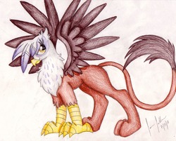 Size: 1561x1257 | Tagged: safe, artist:furrtwo, gilda, griffon, g4, female, solo, traditional art