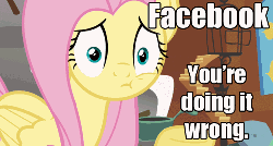 Size: 500x269 | Tagged: safe, angel bunny, fluttershy, g4, animated, book, image macro