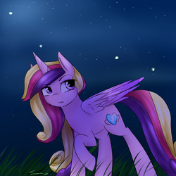 Size: 1000x1000 | Tagged: safe, artist:sugarberry, princess cadance, alicorn, firefly (insect), pony, g4, female, mare, night, raised hoof, solo