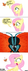 Size: 1680x4160 | Tagged: safe, artist:walliscolours, fluttershy, butterfly, pegasus, pony, g4, butterfly on nose, comic, female, insect on nose, mare, spongebob squarepants, wormy