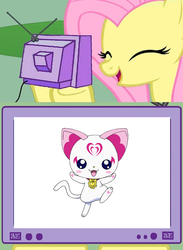 Size: 511x700 | Tagged: safe, fluttershy, cat, g4, cute, exploitable meme, hummy, pretty cure, suite pretty cure, tv meme