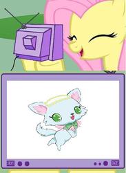 Size: 439x600 | Tagged: safe, fluttershy, dog, g4, exploitable meme, jewelpet, milky quartz, sanrio, sega, tv meme